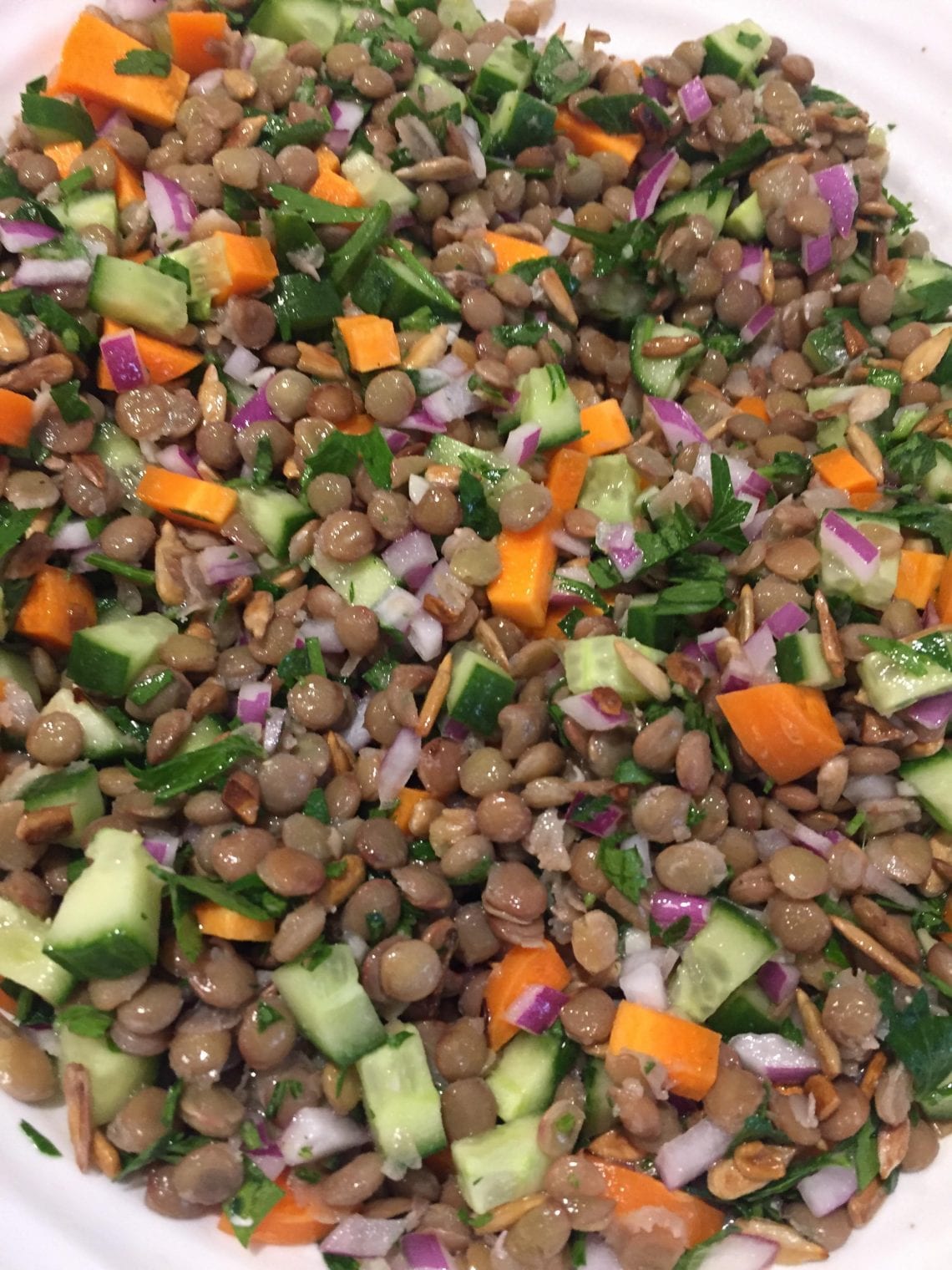 healthy lentil salad for christmas