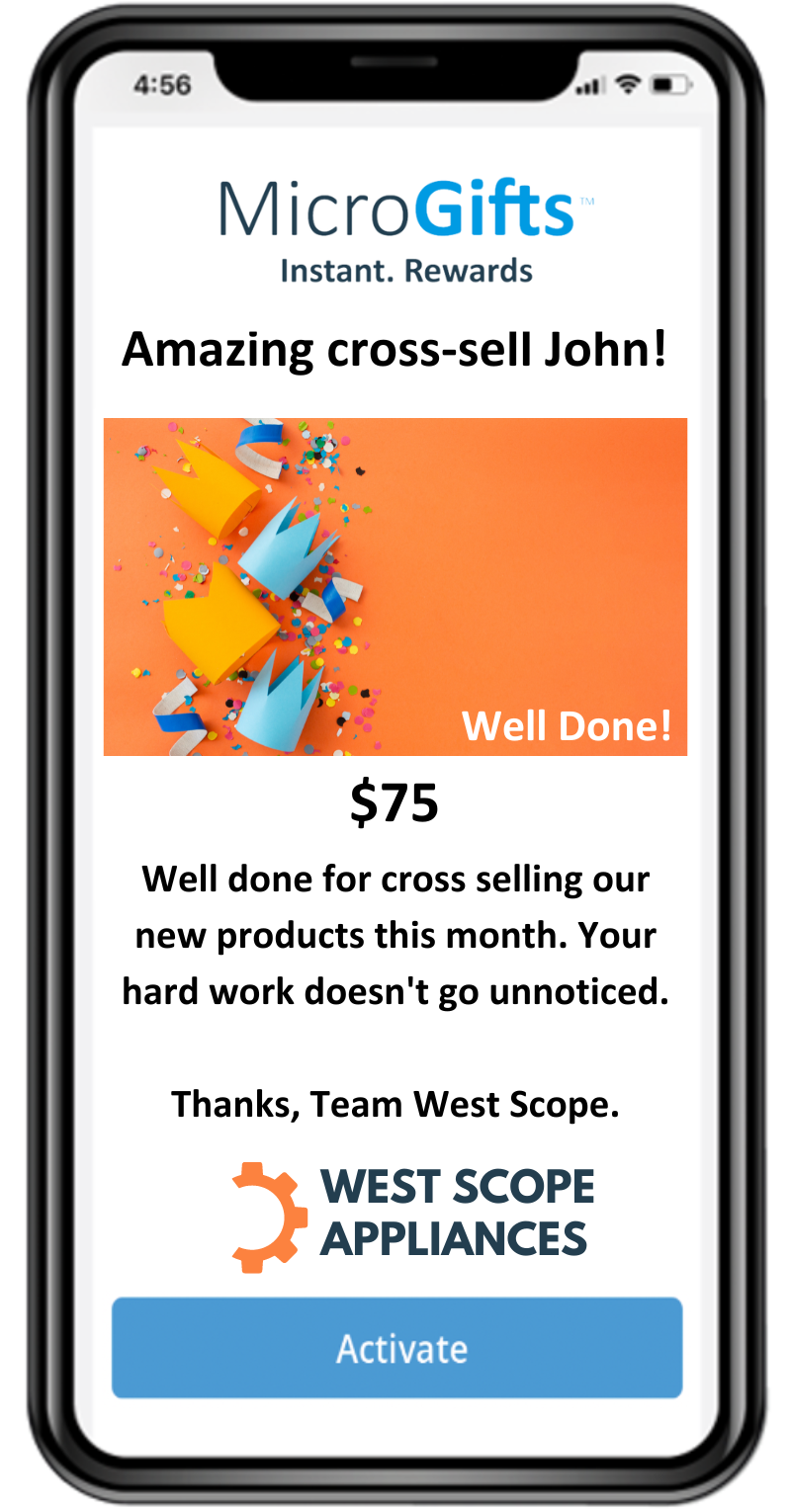 Sales Referral Award